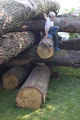 Click to see it big Impression aus dem Atelier